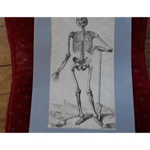 Large 17th Century Tortebat Engraving.