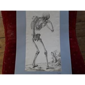 Large Old Engraving By François Tortebat.