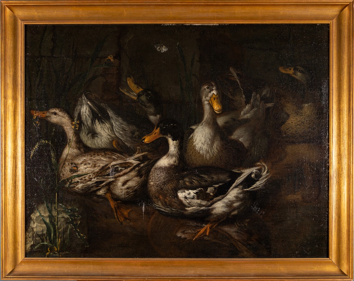 Nature morte aux canards, école de Monsù Aurora, XIXe siècle, huile sur toile