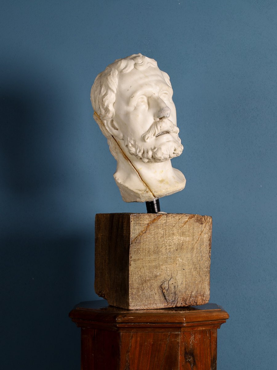 Tête masculine en marbre, barbe et cheveux ondulés, Girolamo Ticciati, XVIIIe siècle-photo-4