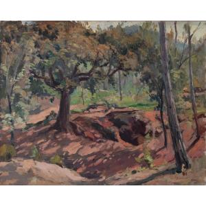 Large Oil - Study Of Autumn And Light