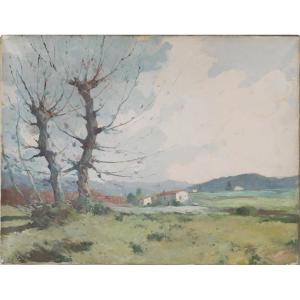 Landscape - Trees And Mountains