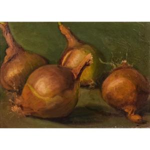 Still Life - Study Of Onions