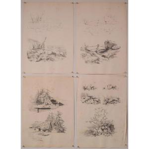 Set Of 11 - Pencil Studies Of Nature