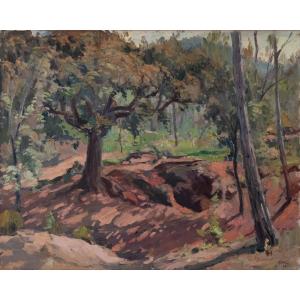 Large Oil - Study Of Autumn And Light