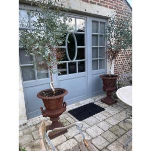 Pairs Of Medici Basins