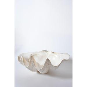 Seashell Forming A Giant Clam, 1960s