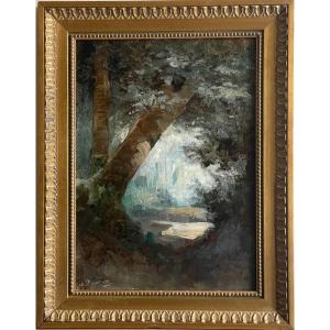 The Glade Oil On Panel Late Nineteenth Century French School