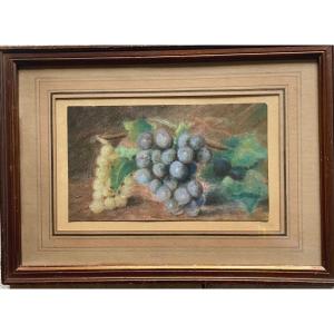 Two Bunches Of Grapes Wait For A Gourmand...
