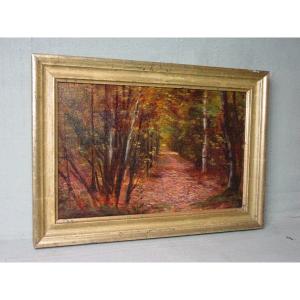 Study Of Undergrowth Oil On Panel From The 19th Century