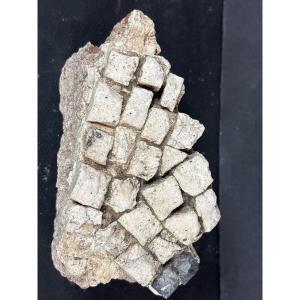 Fragment Of An Ancient Roman Mosaic 