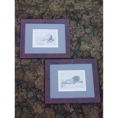 Pair Engravings "the Lions" Picart & Rembrandt Super Framed