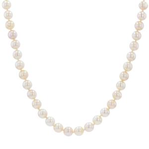 Choker Cultured Pearl Necklace