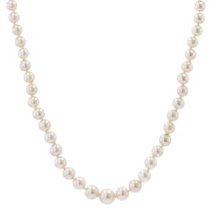 Cultured Pearl Necklace Yellow Gold Clasp