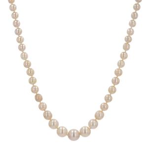 Drop Cultured Pearl Necklace