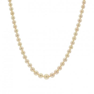 Necklace Falling Golden Cultured Pearls