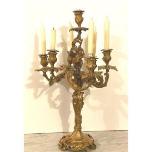 Large Pair Of Gilt Bronze Torches A 7 Lights Rocaille Style 19th