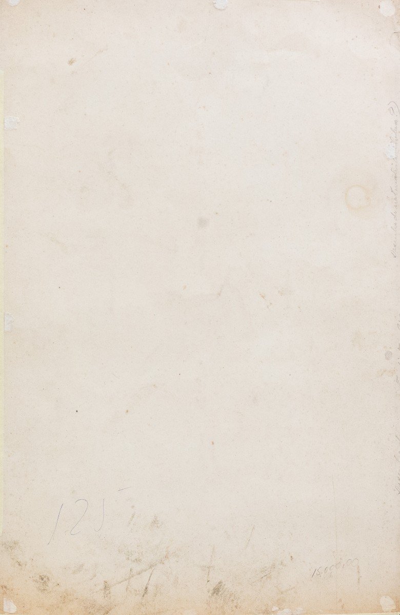 Emile Theophile Blanchard, acquerello su carta, " Studio di Insetti", Epoca '800-photo-8