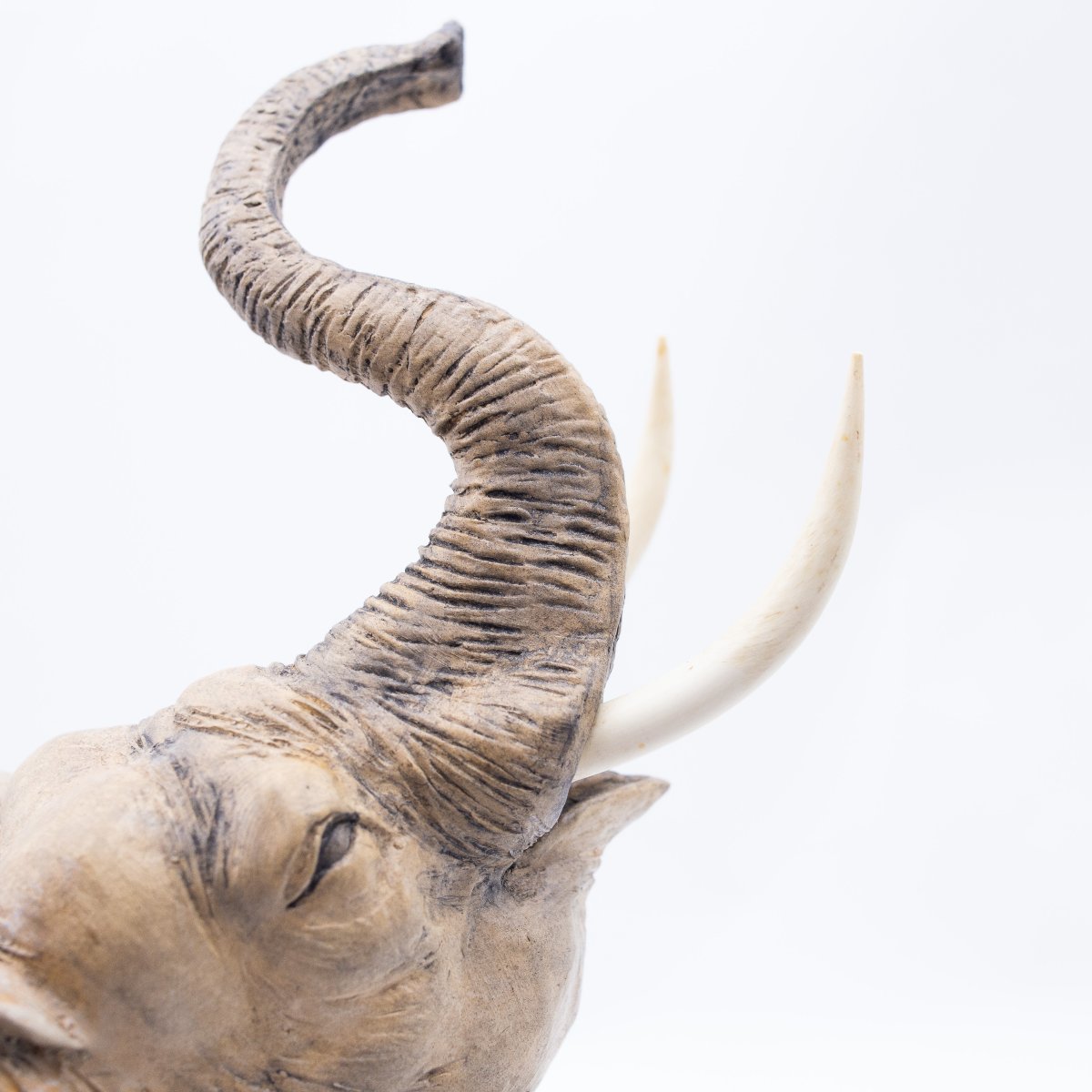 Cacciapuoti, "Elefante", scultura in terracotta, firmata, Anni '40-photo-4