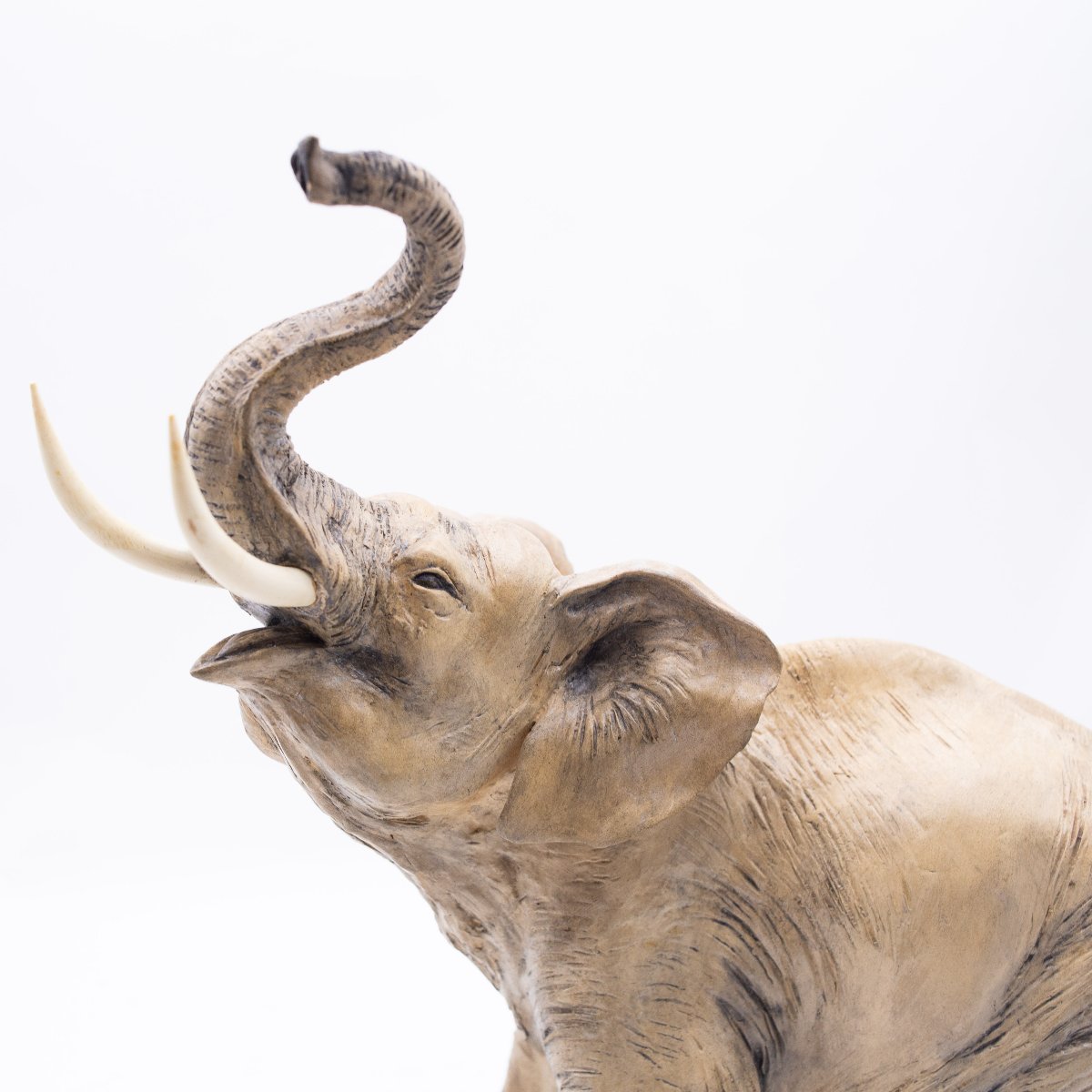Cacciapuoti, "Elefante", scultura in terracotta, firmata, Anni '40-photo-5