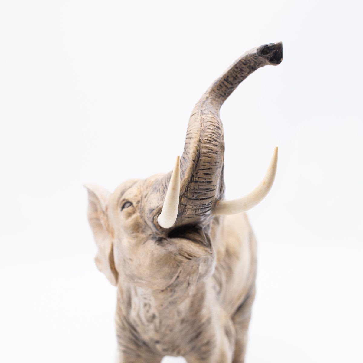 Cacciapuoti, "Elefante", scultura in terracotta, firmata, Anni '40-photo-7