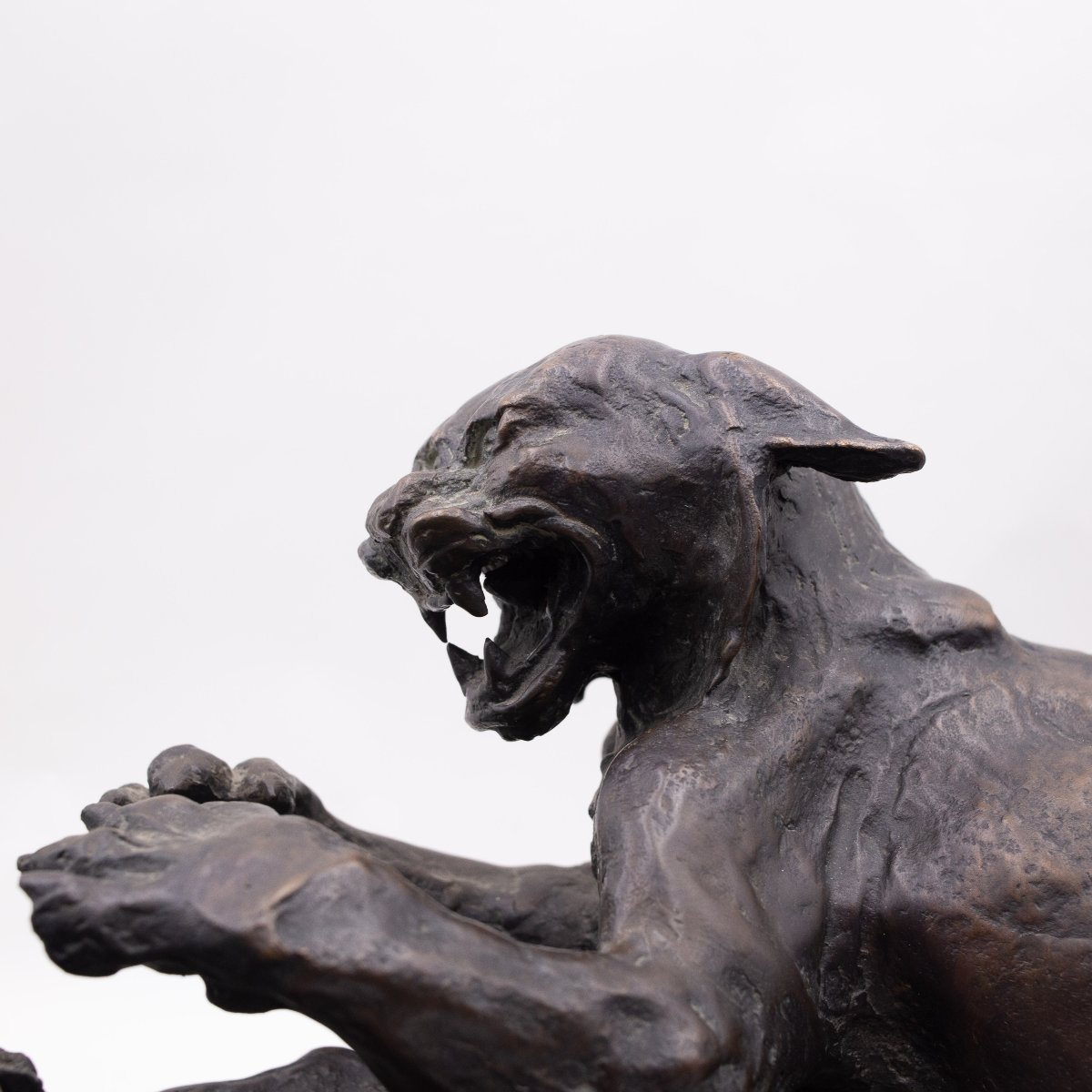 "Animali in lotta" scultura in bronzo di Antonio Ligabue, Anni '40-photo-1
