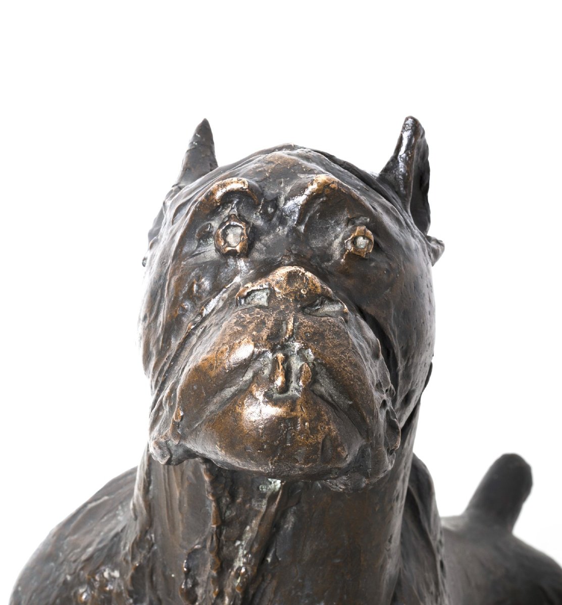 Giovan Battista Mitri, "Cane in ascolto", bronzo, firmato, 1968-photo-3