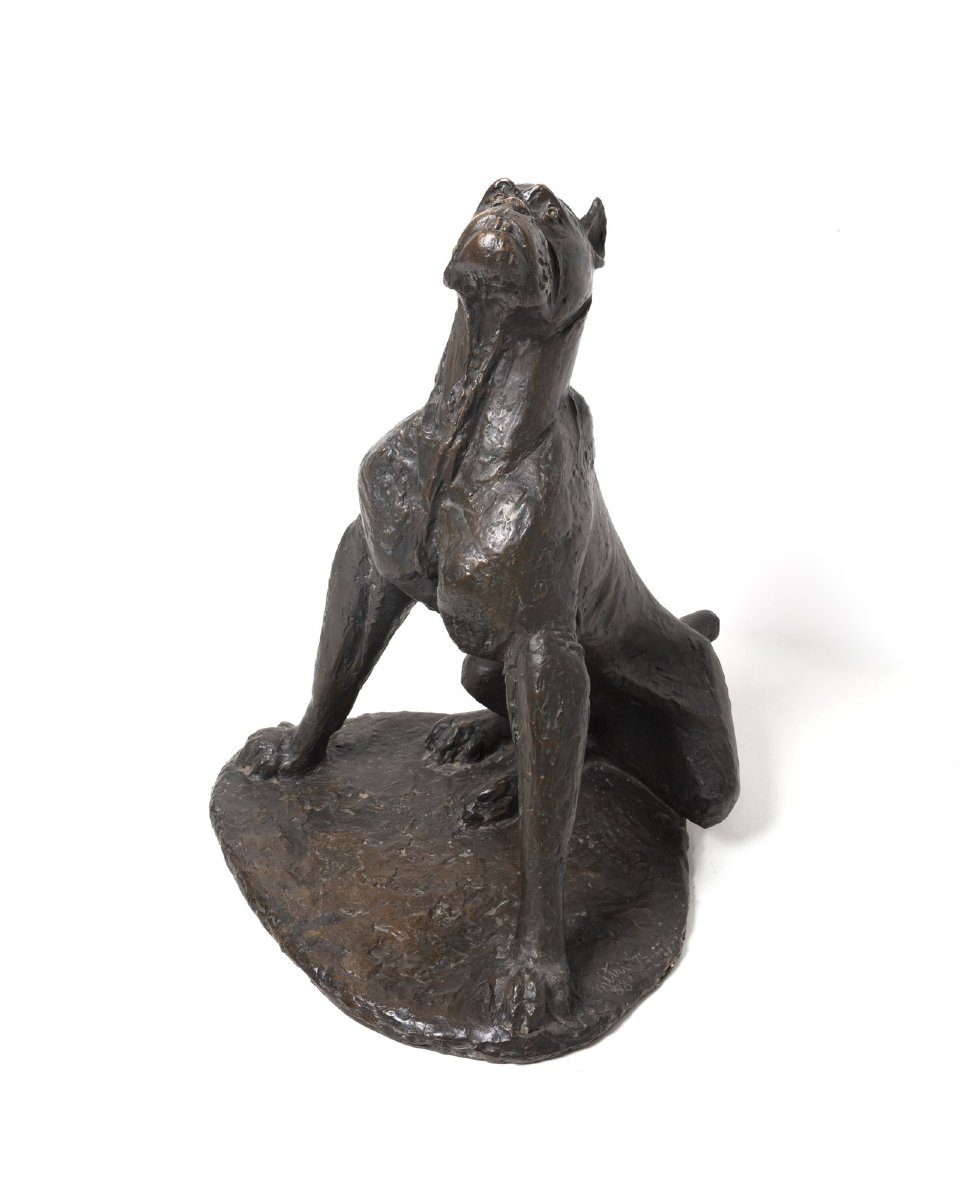 Giovan Battista Mitri, "Cane in ascolto", bronzo, firmato, 1968-photo-4