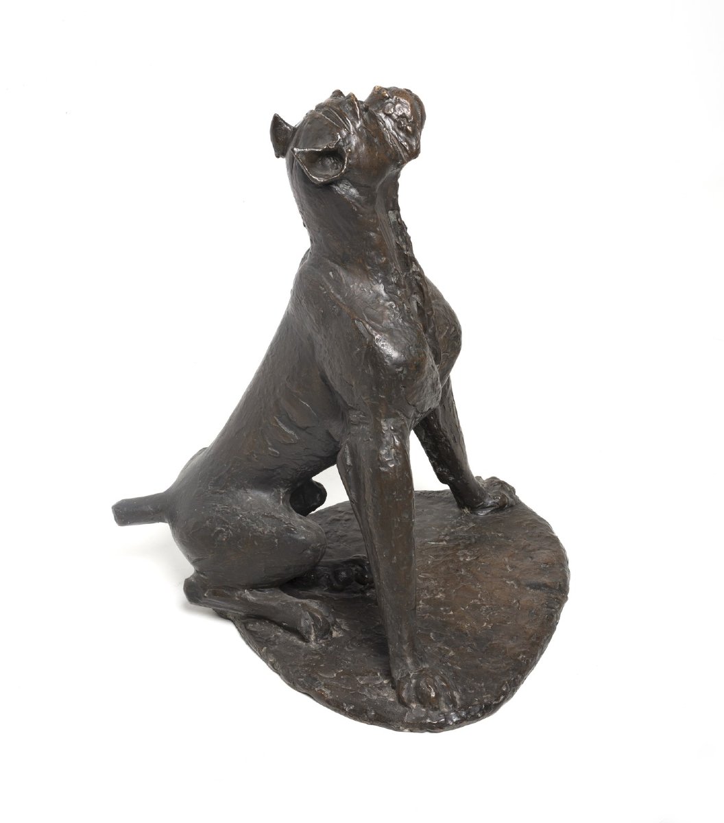 Giovan Battista Mitri, "Cane in ascolto", bronzo, firmato, 1968-photo-5