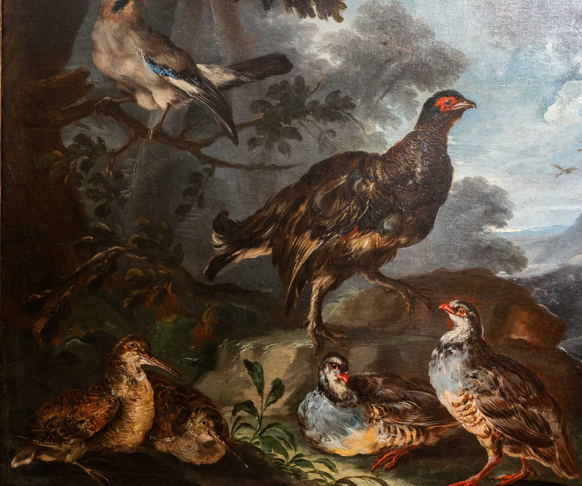 Att. Crivelli Angelo Maria, olio su tela, "Paesaggio con uccelli", Fine '600-photo-3