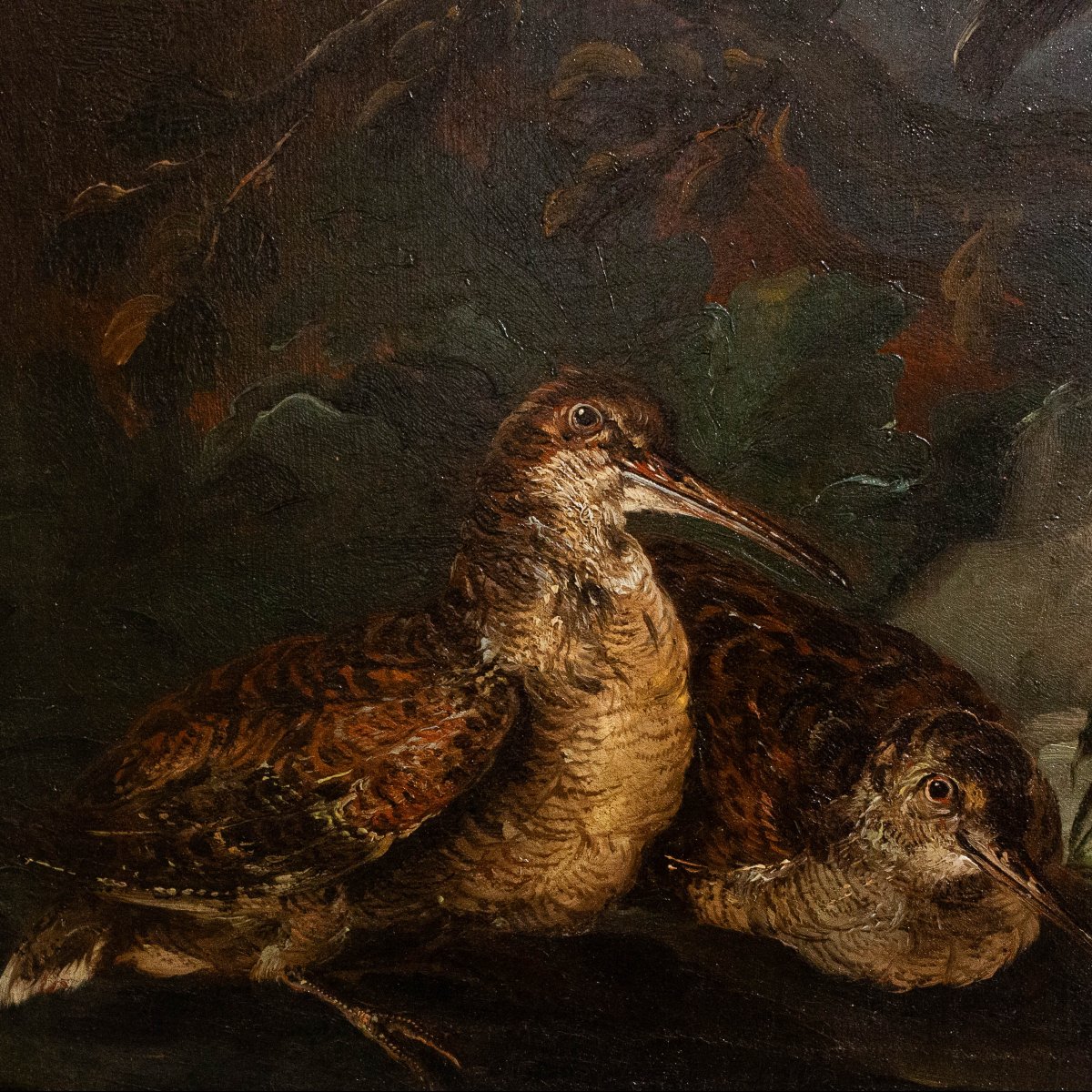 Att. Crivelli Angelo Maria, olio su tela, "Paesaggio con uccelli", Fine '600-photo-5