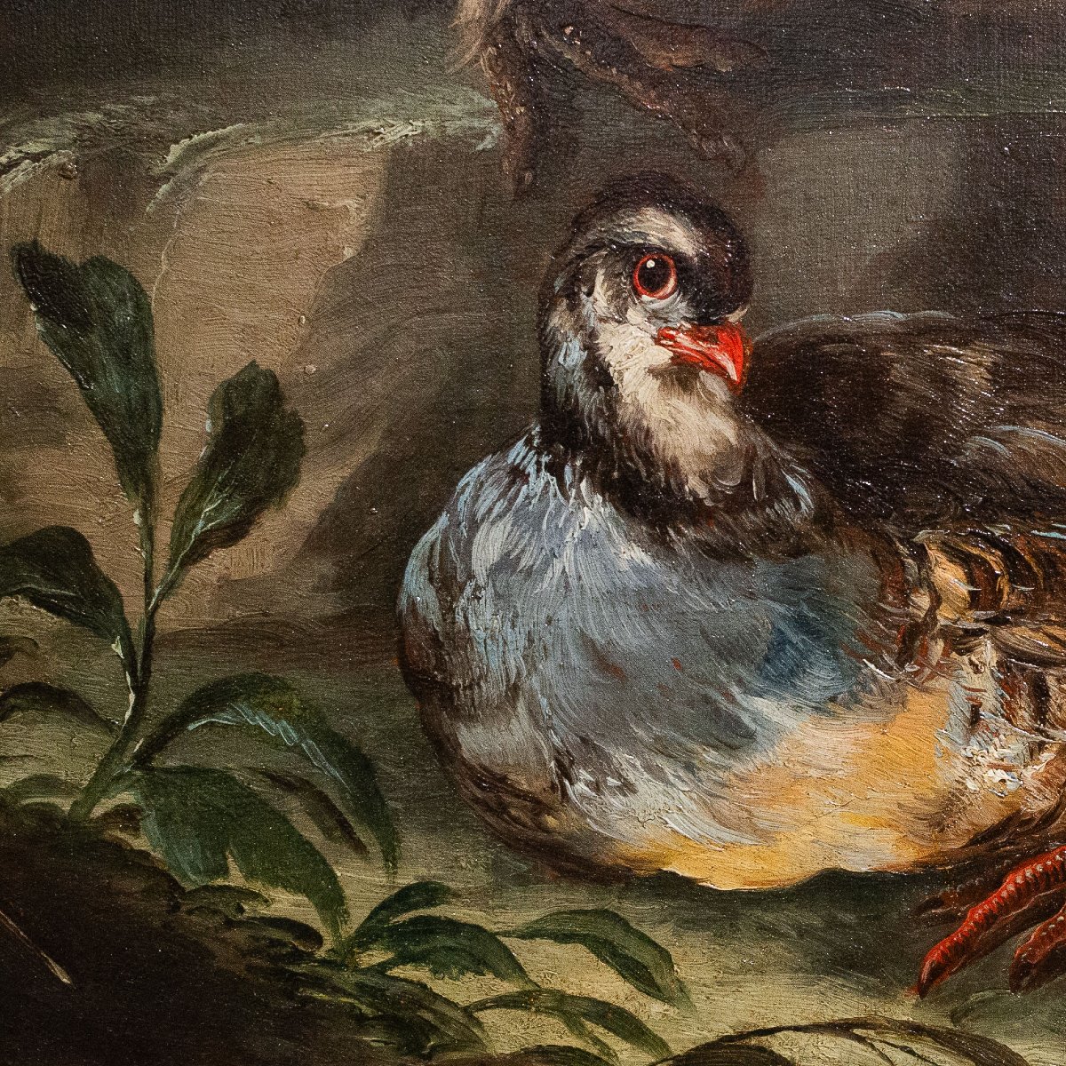 Att. Crivelli Angelo Maria, olio su tela, "Paesaggio con uccelli", Fine '600-photo-6
