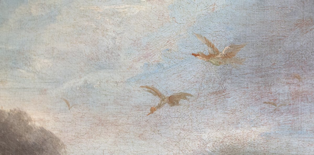 Att. Crivelli Angelo Maria, olio su tela, "Paesaggio con uccelli", Fine '600-photo-7