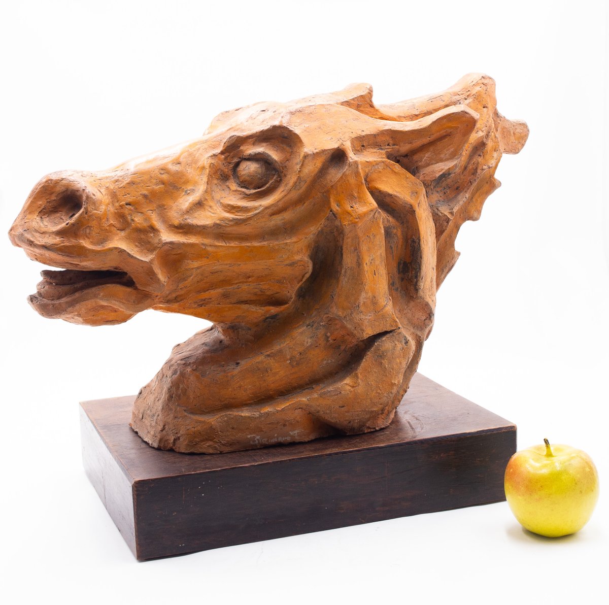 Scultura, Testa di Cavallo in Terracotta, firmato, Epoca '900-photo-4