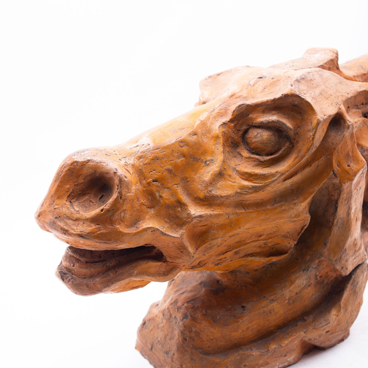 Scultura, Testa di Cavallo in Terracotta, firmato, Epoca '900-photo-1