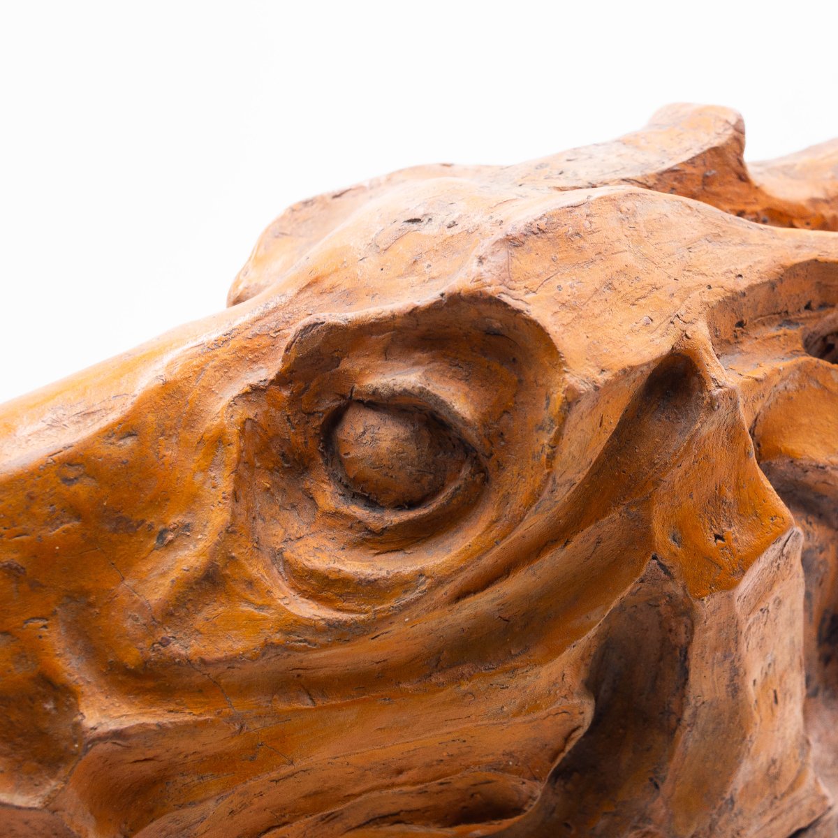 Scultura, Testa di Cavallo in Terracotta, firmato, Epoca '900-photo-2