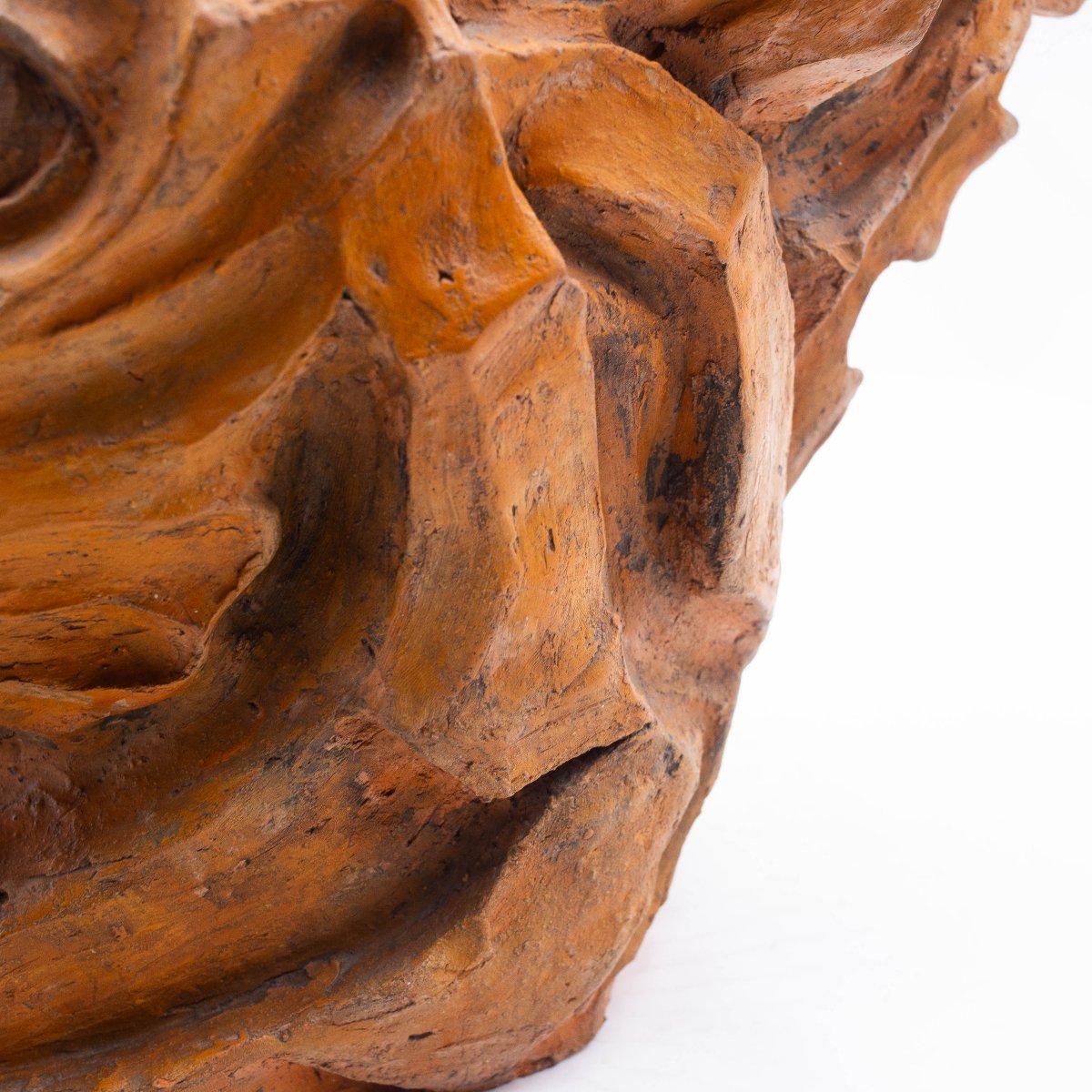 Scultura, Testa di Cavallo in Terracotta, firmato, Epoca '900-photo-3