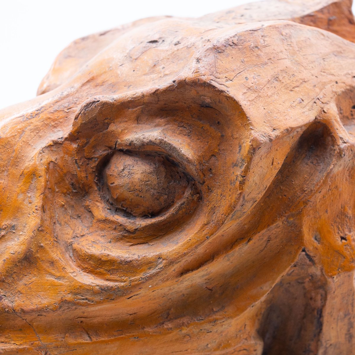 Scultura, Testa di Cavallo in Terracotta, firmato, Epoca '900-photo-4