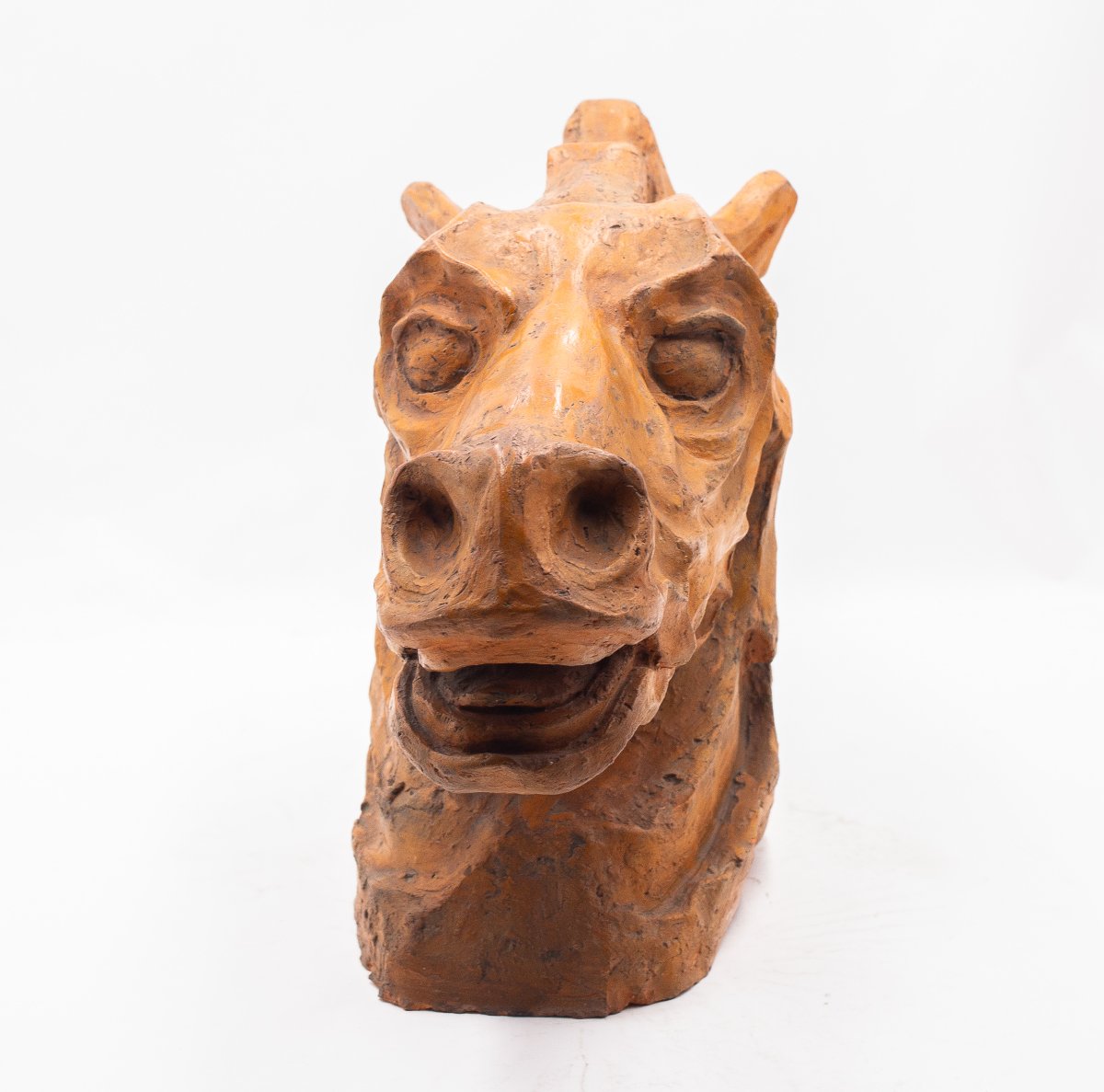 Scultura, Testa di Cavallo in Terracotta, firmato, Epoca '900-photo-5