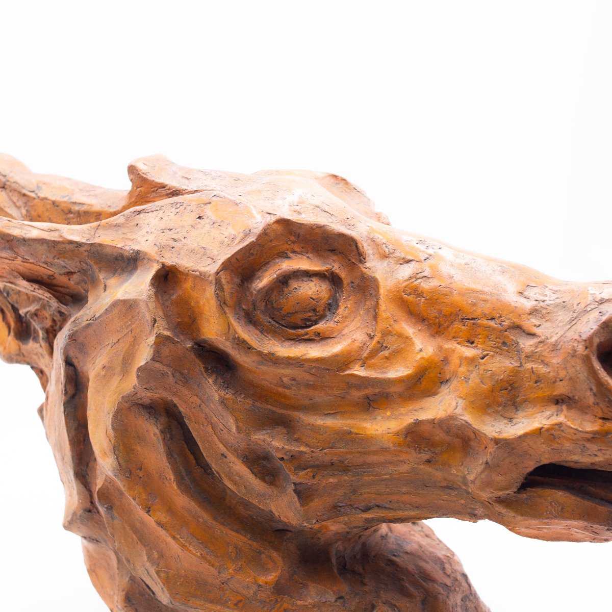 Scultura, Testa di Cavallo in Terracotta, firmato, Epoca '900-photo-6