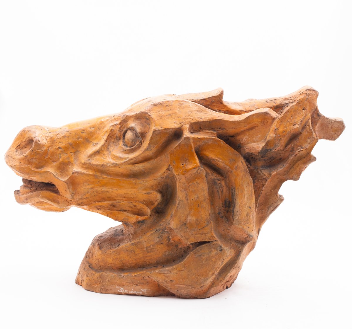 Scultura, Testa di Cavallo in Terracotta, firmato, Epoca '900-photo-7
