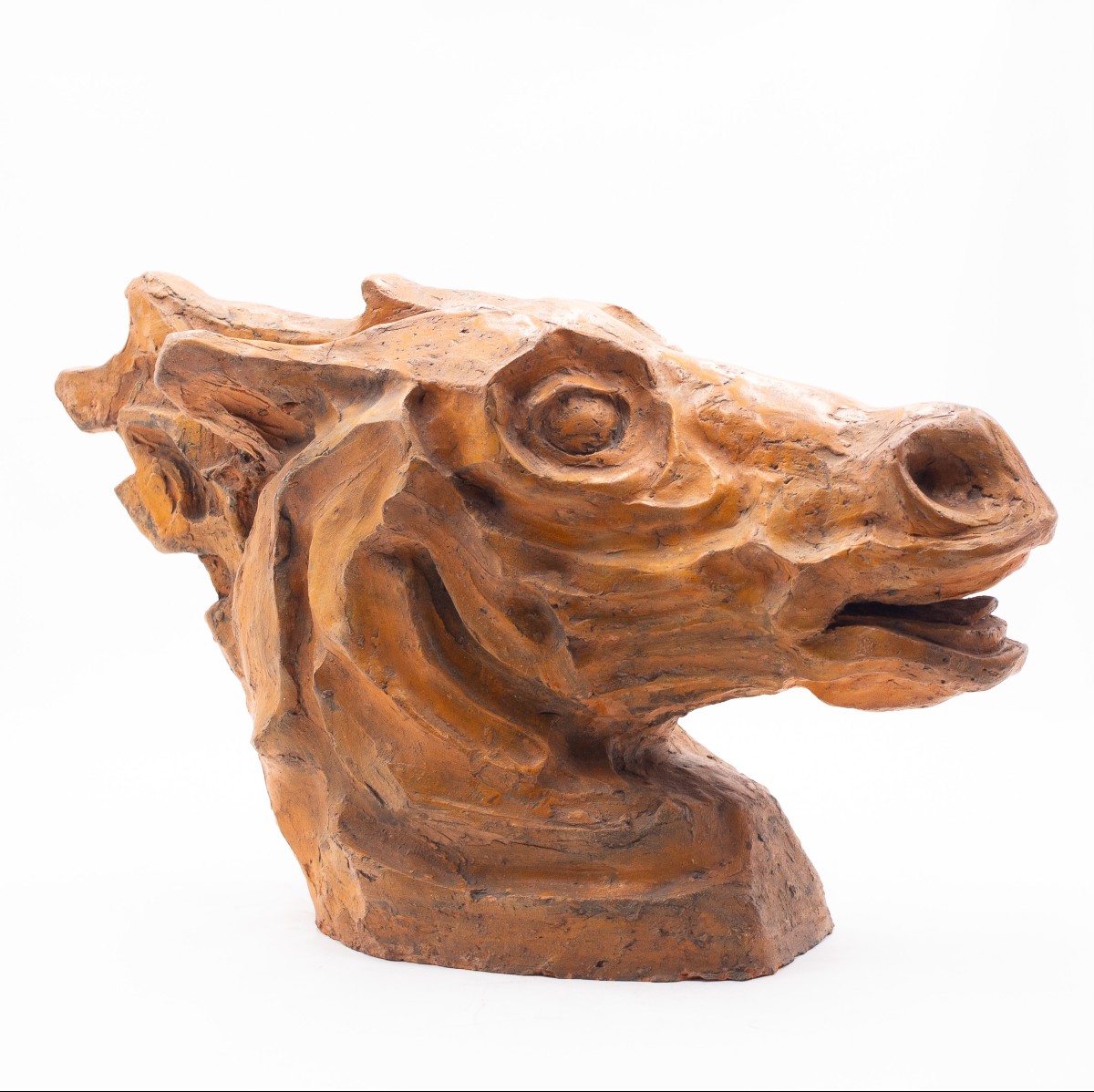 Scultura, Testa di Cavallo in Terracotta, firmato, Epoca '900