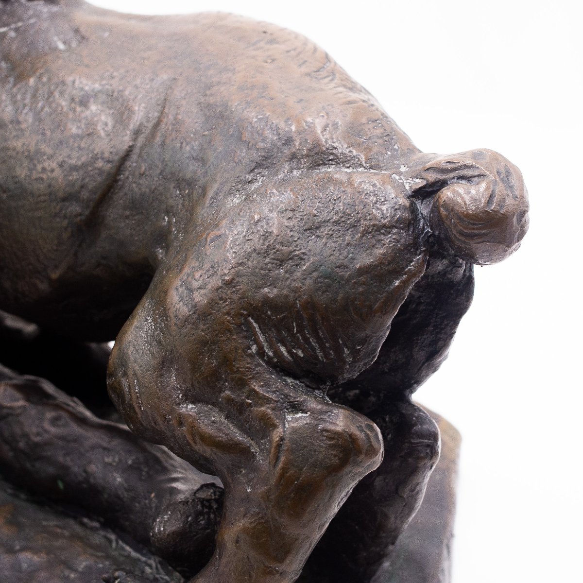 Antonio Ligabue, "Animali in lotta" scultura in bronzo, Anni '40-photo-3