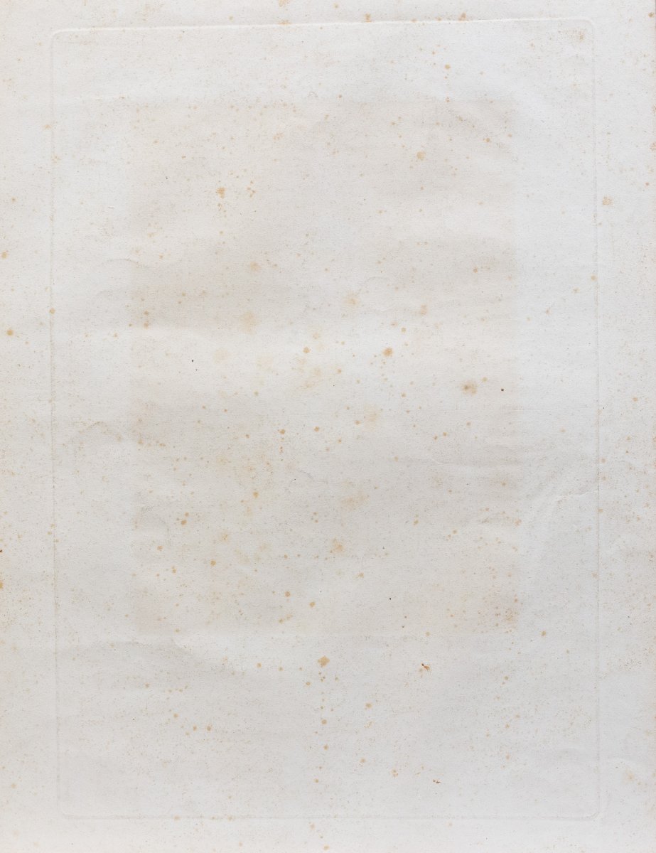 Couché Jacques, "Napolenone", 1820-photo-4