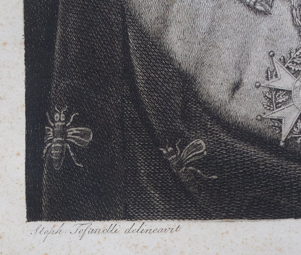 Couché Jacques, "Napolenone", 1820-photo-5