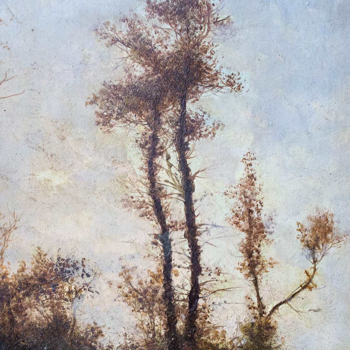 Giacinto Bo, "Vedute Naturali", olio su cartone, Epoca '800-photo-6