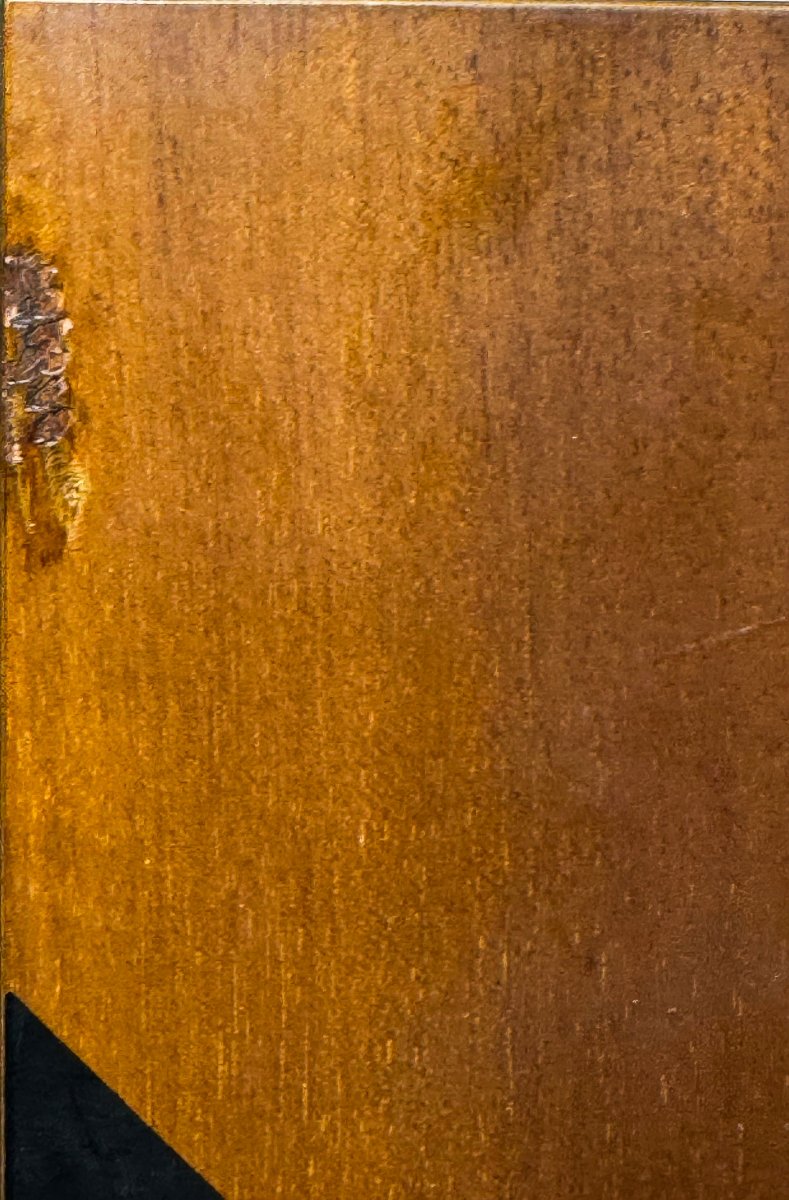 Afra & Tobia Scarpa per Maxalto,Appendiabiti, anni '70-photo-4