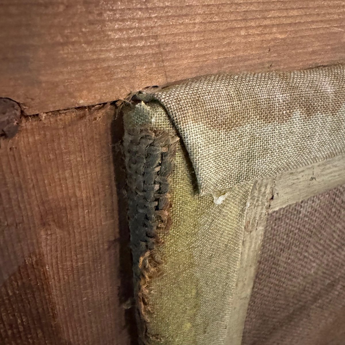 Italo Mus, "Quiete Autunnale", olio su tela, firmato, Anni '40-photo-6