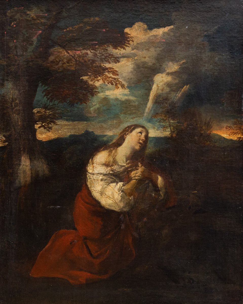 Santa Maria Maddalena, Olio su tela, XVIII secolo-photo-3