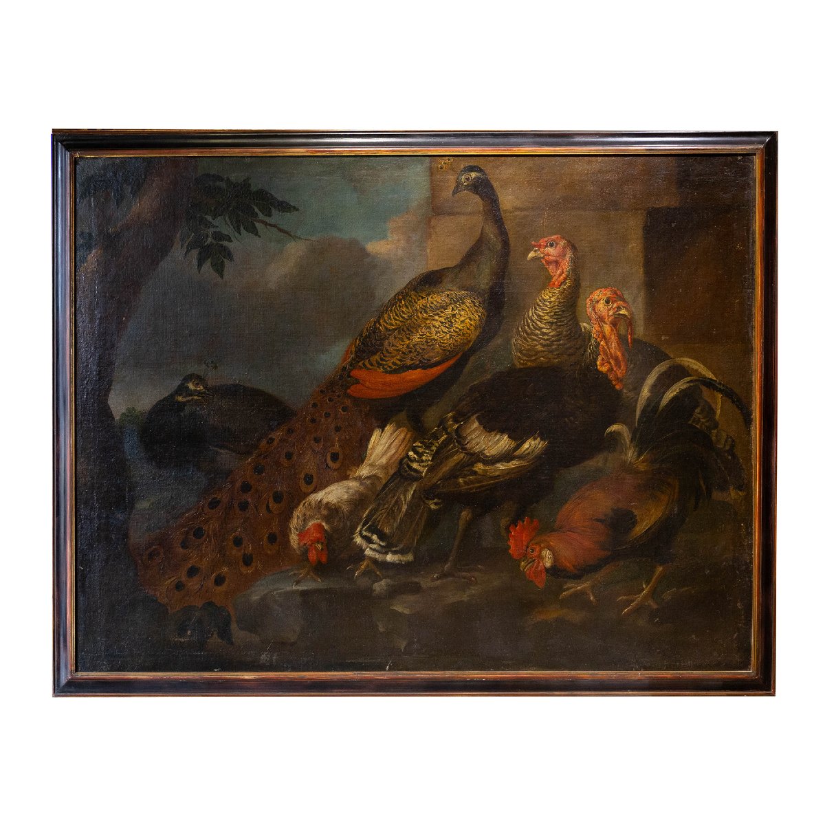Giovanni Crivelli (detto il Crivellino), "Pavoni, tacchini e galli", olio su tela, Epoca '700-photo-2